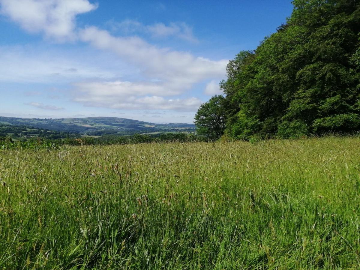 Tuell Farm Cottages Tavistock  Eksteriør billede